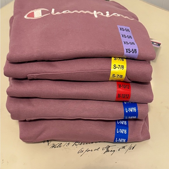Champion Kids' Mauve Hoodie - Picture 2 of 2